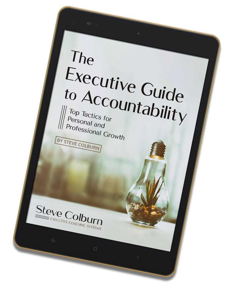 The Executive Guide to Accountability e-book